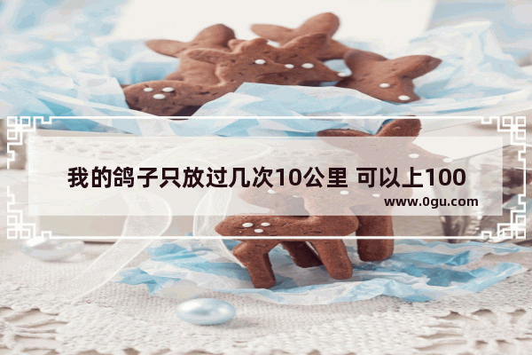 我的鸽子只放过几次10公里 可以上100公里吗?有8个月大了,王者荣耀100距离