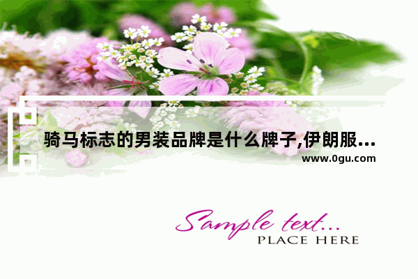 骑马标志的男装品牌是什么牌子,伊朗服穿越火线