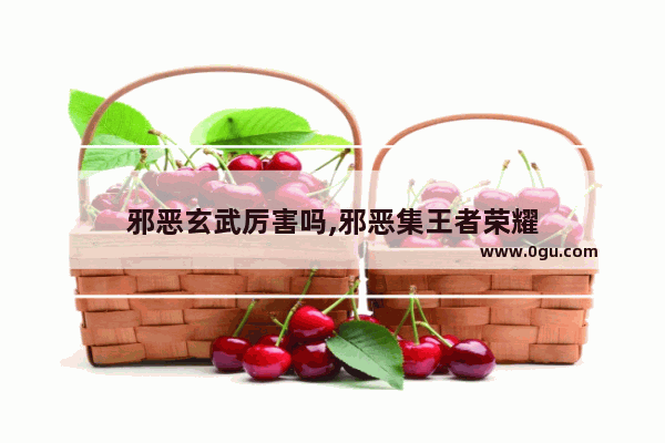 邪恶玄武厉害吗,邪恶集王者荣耀