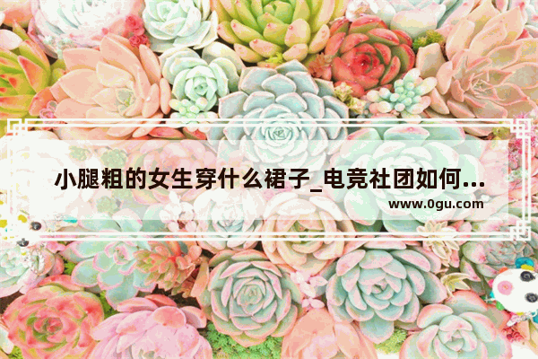 小腿粗的女生穿什么裙子_电竞社团如何管理