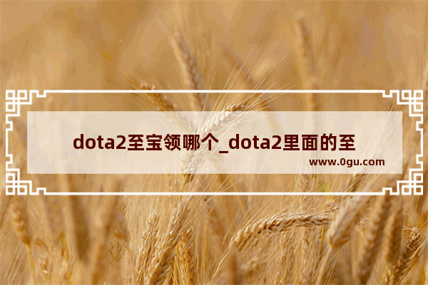 dota2至宝领哪个_dota2里面的至宝有什么用