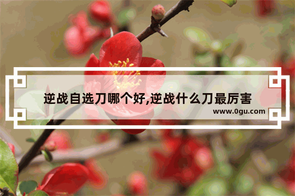 逆战自选刀哪个好,逆战什么刀最厉害