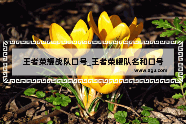 王者荣耀战队口号_王者荣耀队名和口号