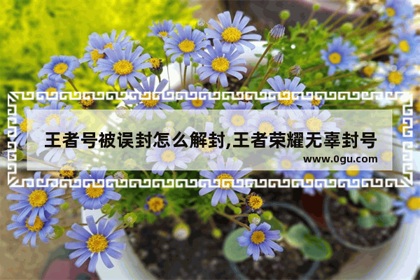 王者号被误封怎么解封,王者荣耀无辜封号