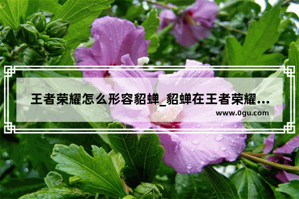 王者荣耀怎么形容貂蝉_貂蝉在王者荣耀里算厉害么