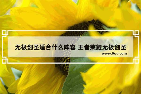 无极剑圣适合什么阵容 王者荣耀无极剑圣