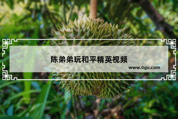 陈弟弟玩和平精英视频