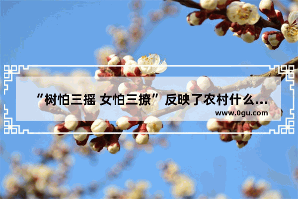 “树怕三摇 女怕三撩”反映了农村什么问题？如何解决