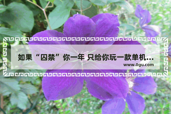 如果“囚禁”你一年 只给你玩一款单机游戏 你会选择哪款呢