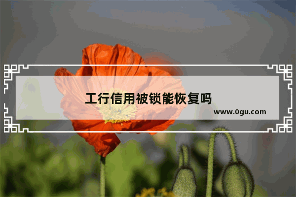 工行信用被锁能恢复吗