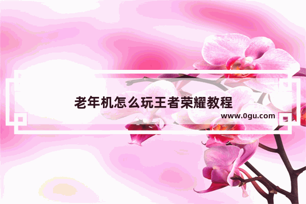 老年机怎么玩王者荣耀教程