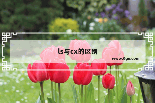 ls与cx的区别