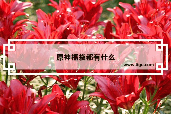 原神福袋都有什么