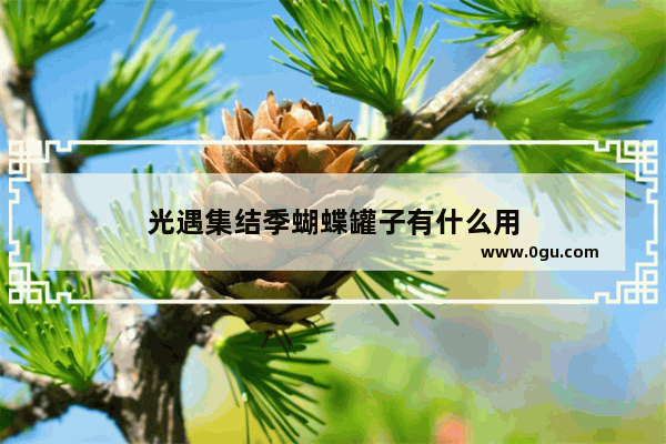 光遇集结季蝴蝶罐子有什么用
