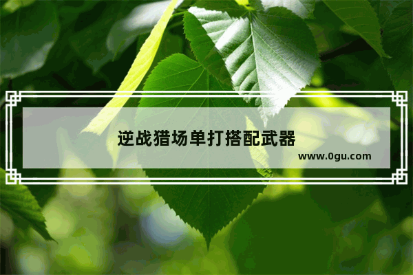 逆战猎场单打搭配武器