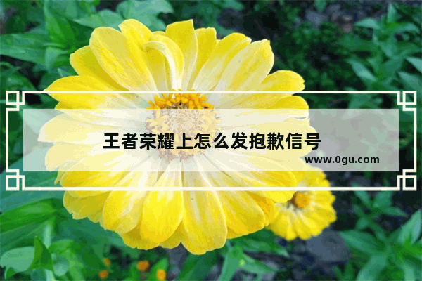 王者荣耀上怎么发抱歉信号