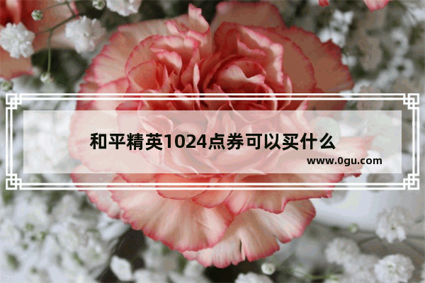 和平精英1024点券可以买什么