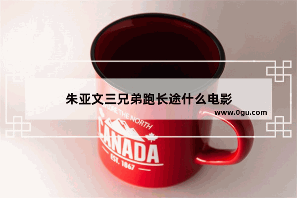 朱亚文三兄弟跑长途什么电影