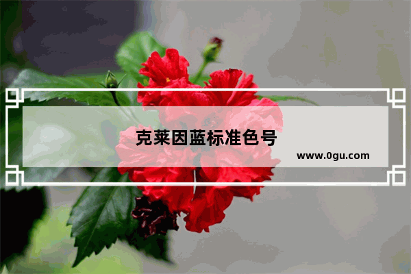 克莱因蓝标准色号