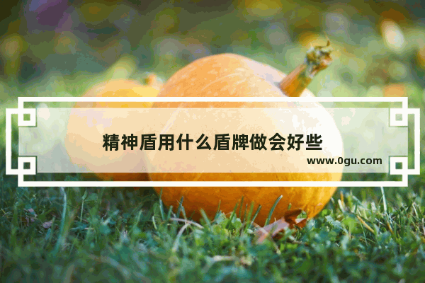 精神盾用什么盾牌做会好些