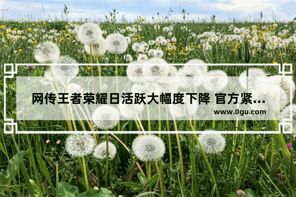 网传王者荣耀日活跃大幅度下降 官方紧急改动 信誉分恢复将更快 你会重回吗
