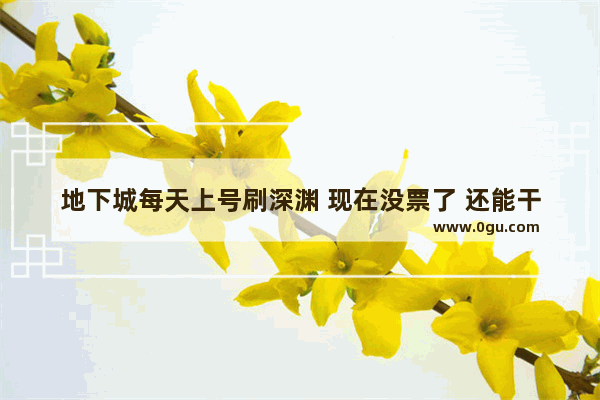 地下城每天上号刷深渊 现在没票了 还能干点什么