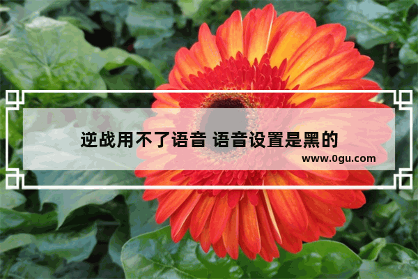 逆战用不了语音 语音设置是黑的