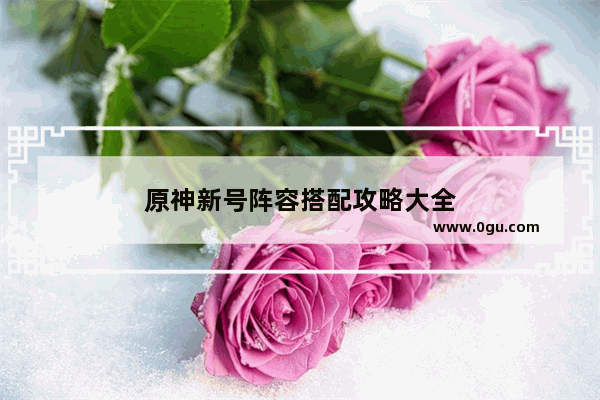 原神新号阵容搭配攻略大全