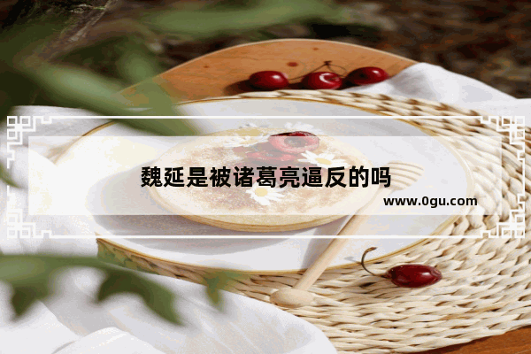 魏延是被诸葛亮逼反的吗