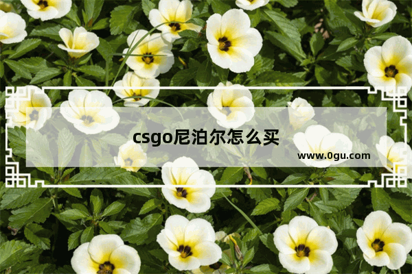 csgo尼泊尔怎么买