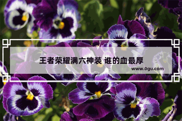 王者荣耀满六神装 谁的血最厚