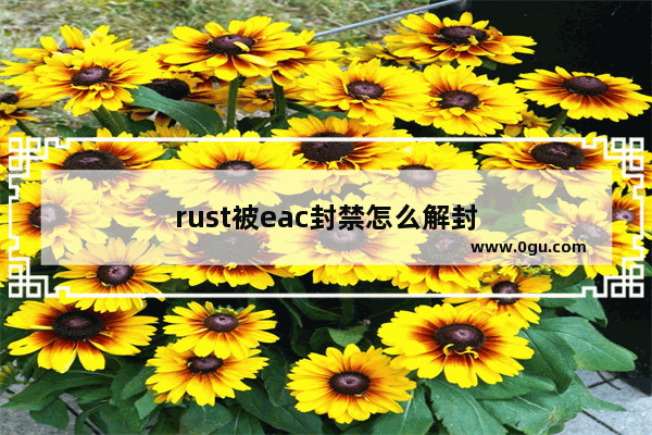 rust被eac封禁怎么解封