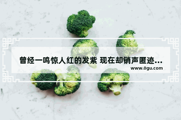 曾经一鸣惊人红的发紫 现在却销声匿迹的明星 有哪些