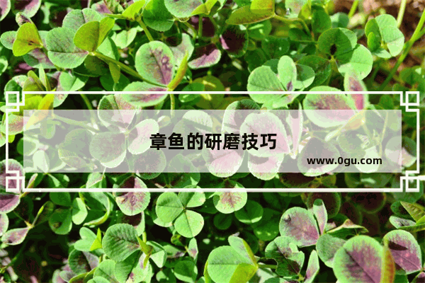 章鱼的研磨技巧