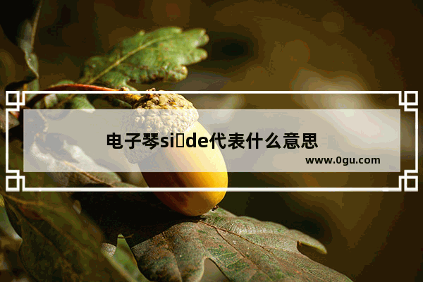 电子琴si de代表什么意思