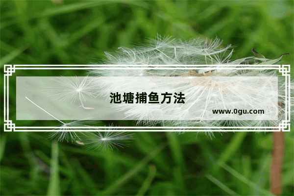 池塘捕鱼方法