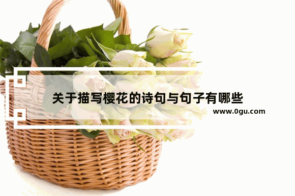 关于描写樱花的诗句与句子有哪些