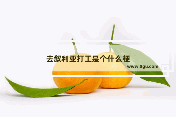 去叙利亚打工是个什么梗