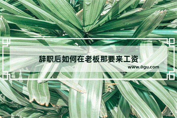 辞职后如何在老板那要来工资