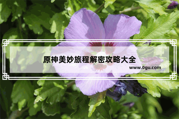 原神美妙旅程解密攻略大全