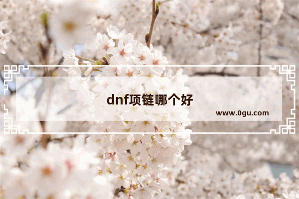 dnf项链哪个好