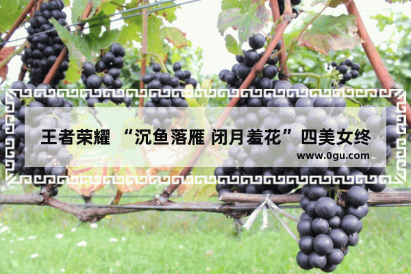 王者荣耀 “沉鱼落雁 闭月羞花”四美女终于齐了！你知道都是谁吗