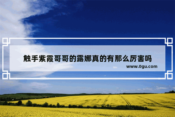 触手紫霞哥哥的露娜真的有那么厉害吗