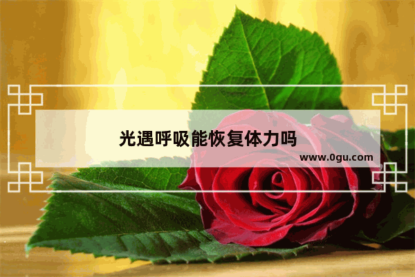 光遇呼吸能恢复体力吗