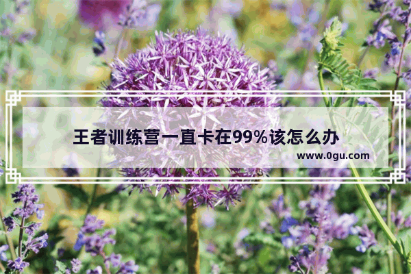 王者训练营一直卡在99%该怎么办