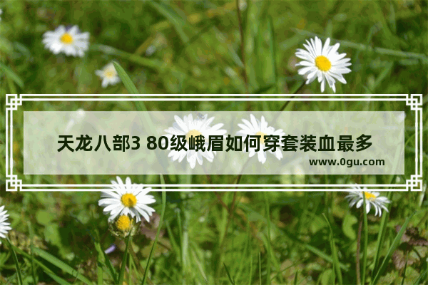 天龙八部3 80级峨眉如何穿套装血最多