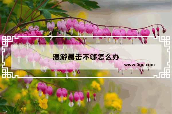 漫游暴击不够怎么办