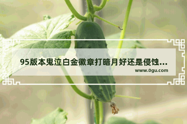 95版本鬼泣白金徽章打暗月好还是侵蚀之普蒙好