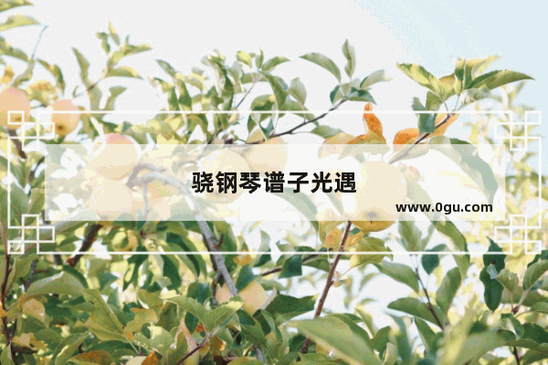 骁钢琴谱子光遇