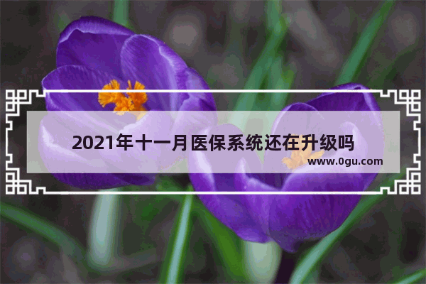 2021年十一月医保系统还在升级吗